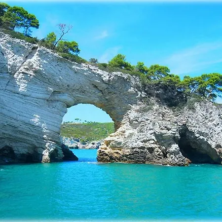 Molo San Lorenzo * Vieste